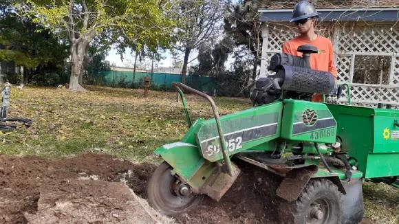 Stump grinding